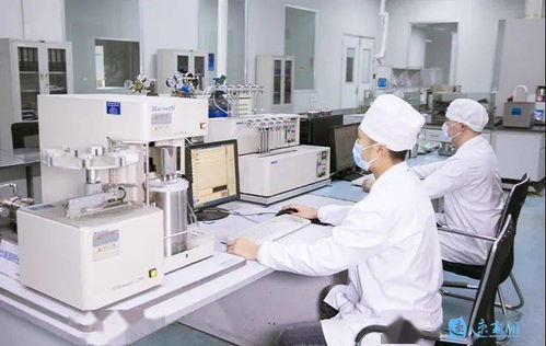 新華日報頭版頭條點贊宿遷 電子專用材料研發(fā)引領產業(yè)創(chuàng)新